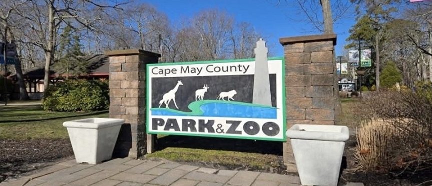 Red panda news in regional zoos: Cape May County Zoo welcomes Ember’s debut while Philadelphia Zoo mourns a beloved furry friend