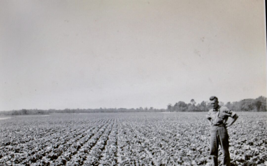 A look back at Egg Harbor Township’s farming roots