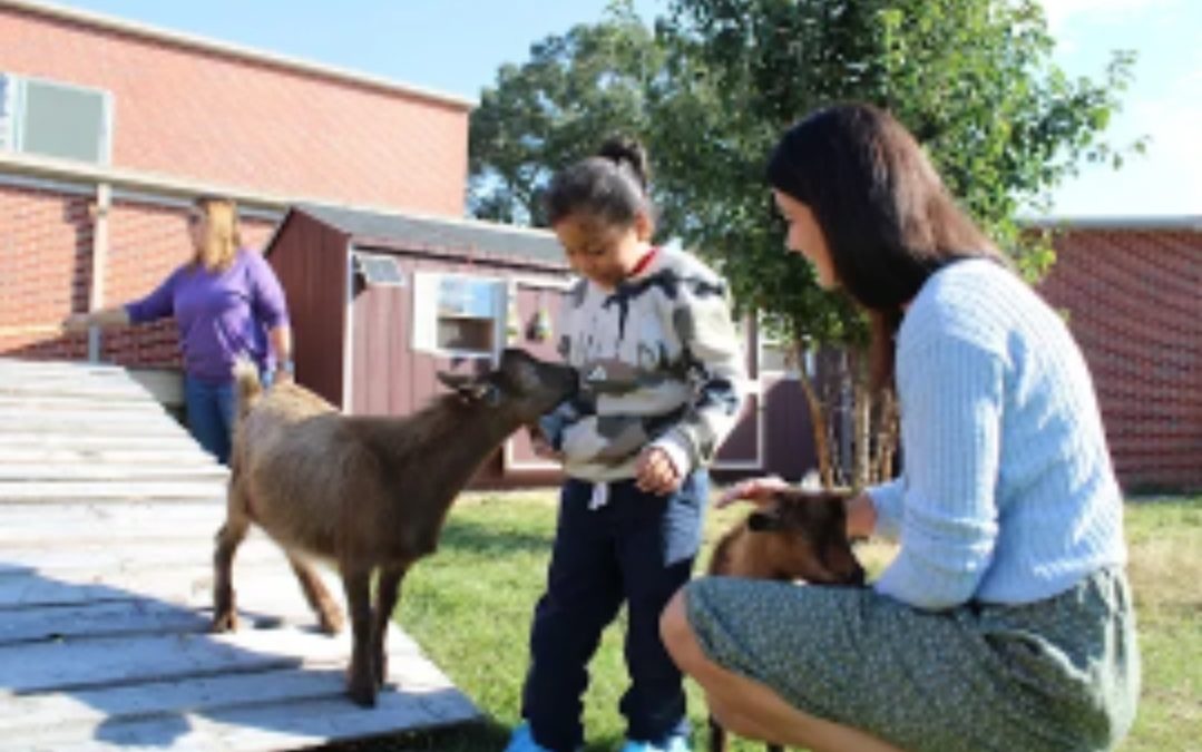 Absecon Public Schools expand therapy animal program with new on-campus farm
