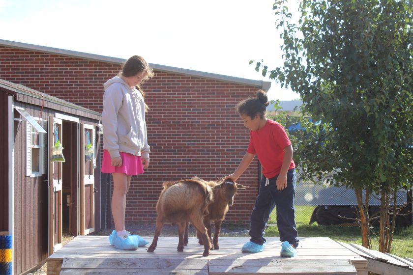 Students visit the therapy animal farm at Absecon Public Schools