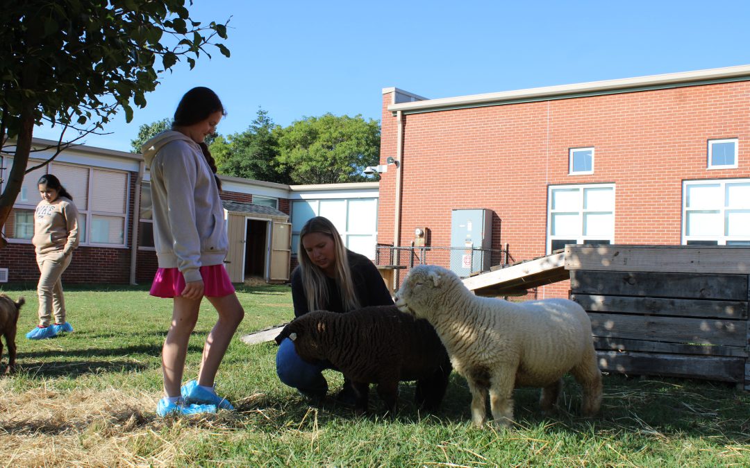 Absecon Public Schools expand therapy animal program with new on-campus farm