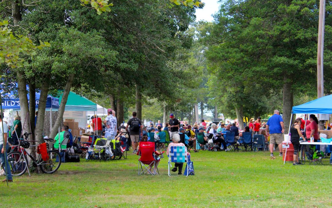 Fall into festival season