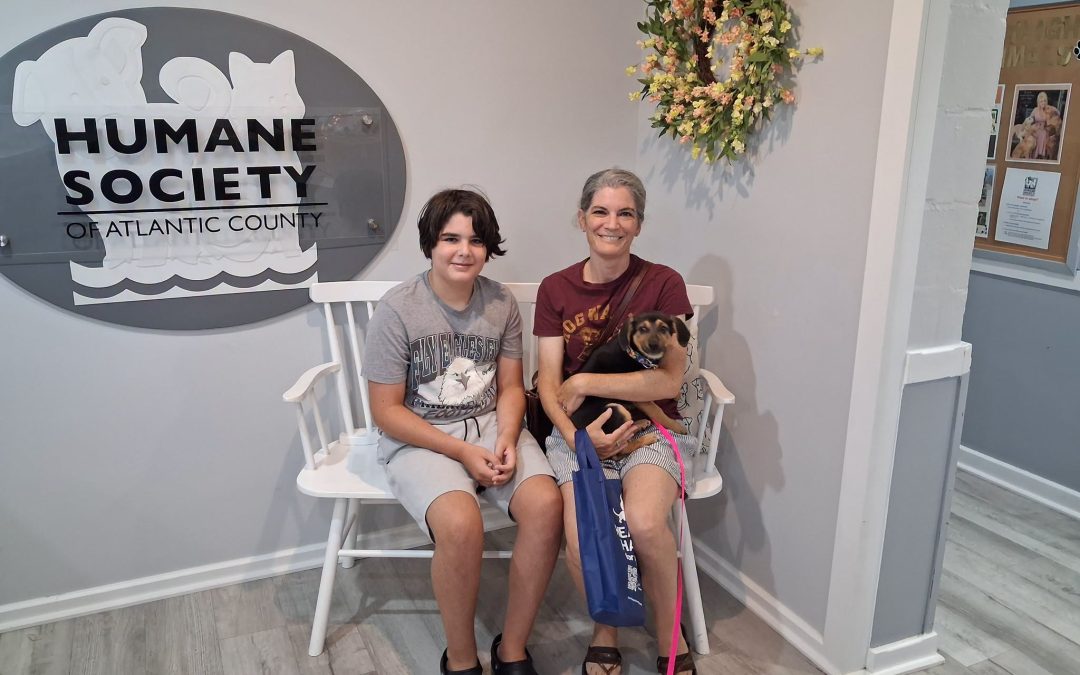 Humane Society of Atlantic County connects pets with loving homes