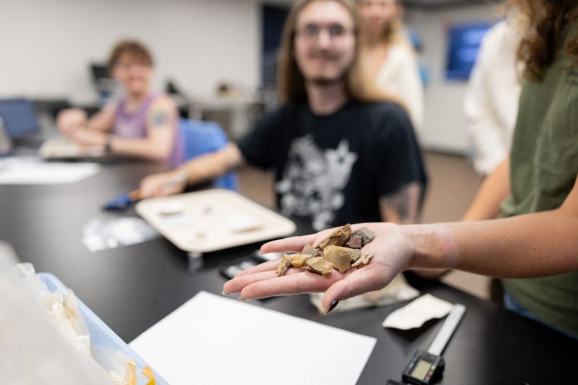archaeologylab2